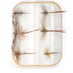 JMC Mouches-Mouches kit 6 mouches seches