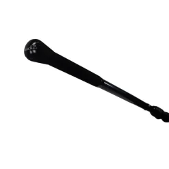 MACK2 Packs-Pack 2 cannes carp addict TR 10' 3.5 lbs + fourreau