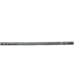 TEOS Packs-Pack Majesty Specimen 1000 + Top2