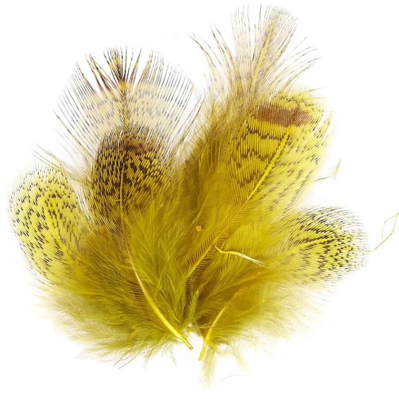 JMC Fly Tying-Plumes montage mouche perdrix grise (jaune)