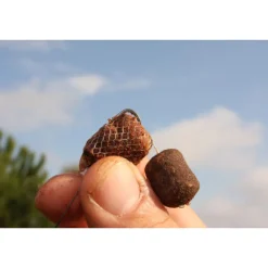 KORDA Amorçage/Propulsion-Recharge de filet soluble carpe longchuck funnel web hexmesh ( 5m)