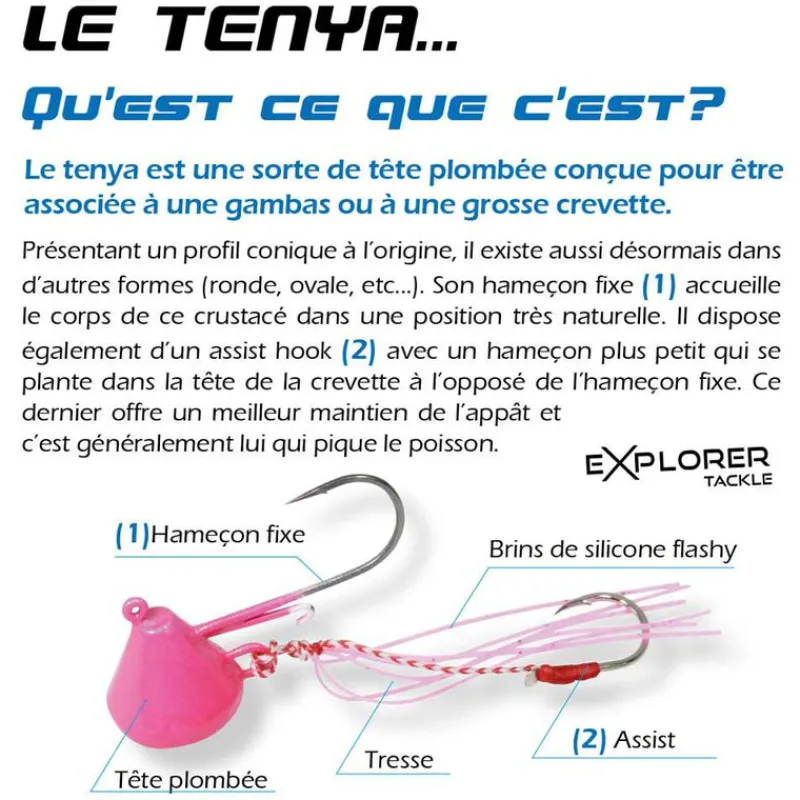 EXPLORER TACKLE Pêche Au Tenya|Leurres-Tête plombée magic tenya deep moule