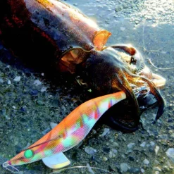 YAMASHITA Pêche Eging|Leurres-Turlutte mer egi sutte r 2.5 10cm 10g